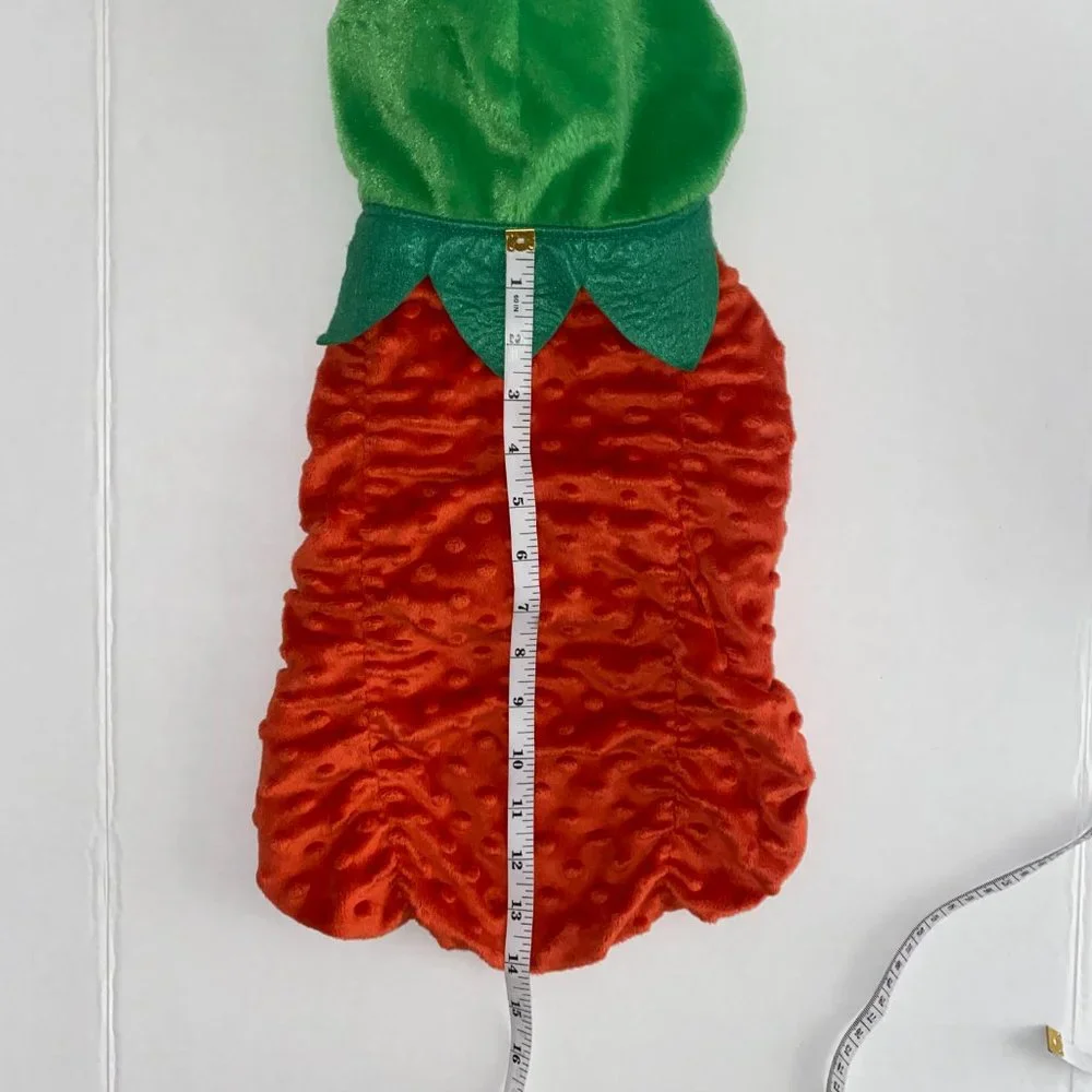 N/A dog costume